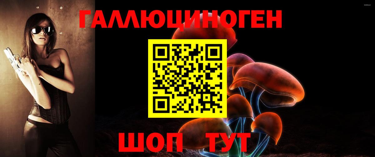 Галлюциногенные грибы Psilocybine cubensis Людиново
